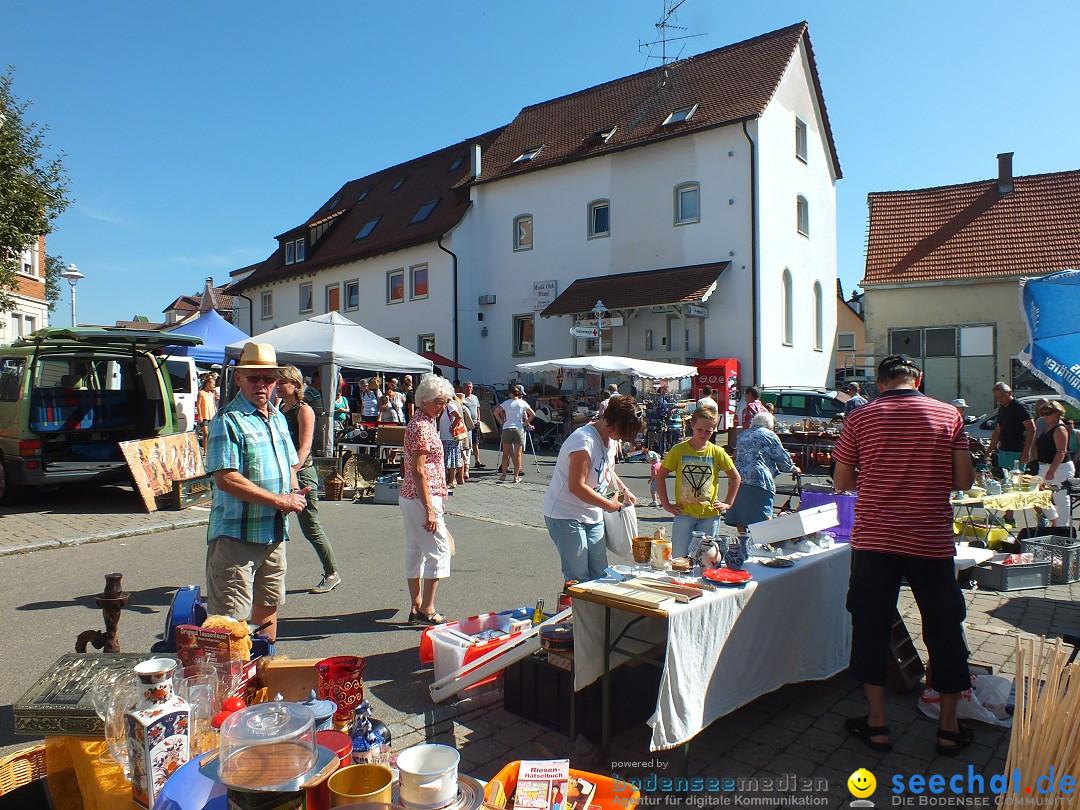 Herbstfest 2015: Bad-Buchau, 29.08.2015