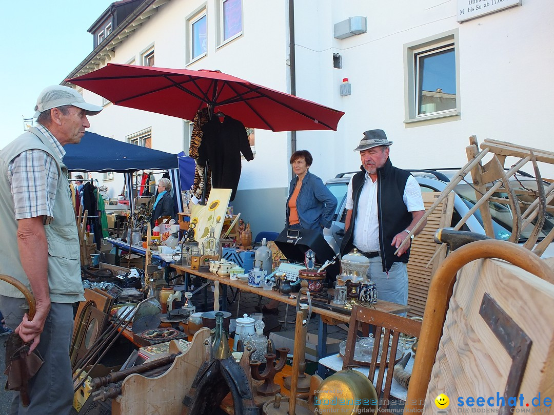 Herbstfest 2015: Bad-Buchau, 29.08.2015