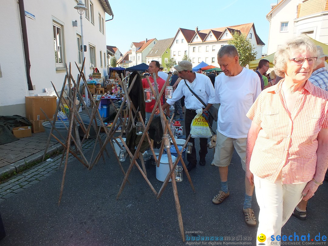 Herbstfest 2015: Bad-Buchau, 29.08.2015