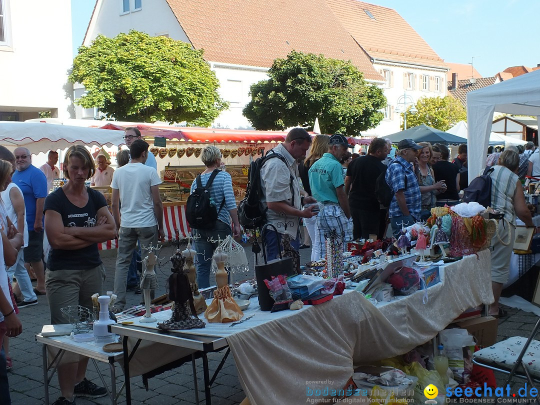 Herbstfest 2015: Bad-Buchau, 29.08.2015