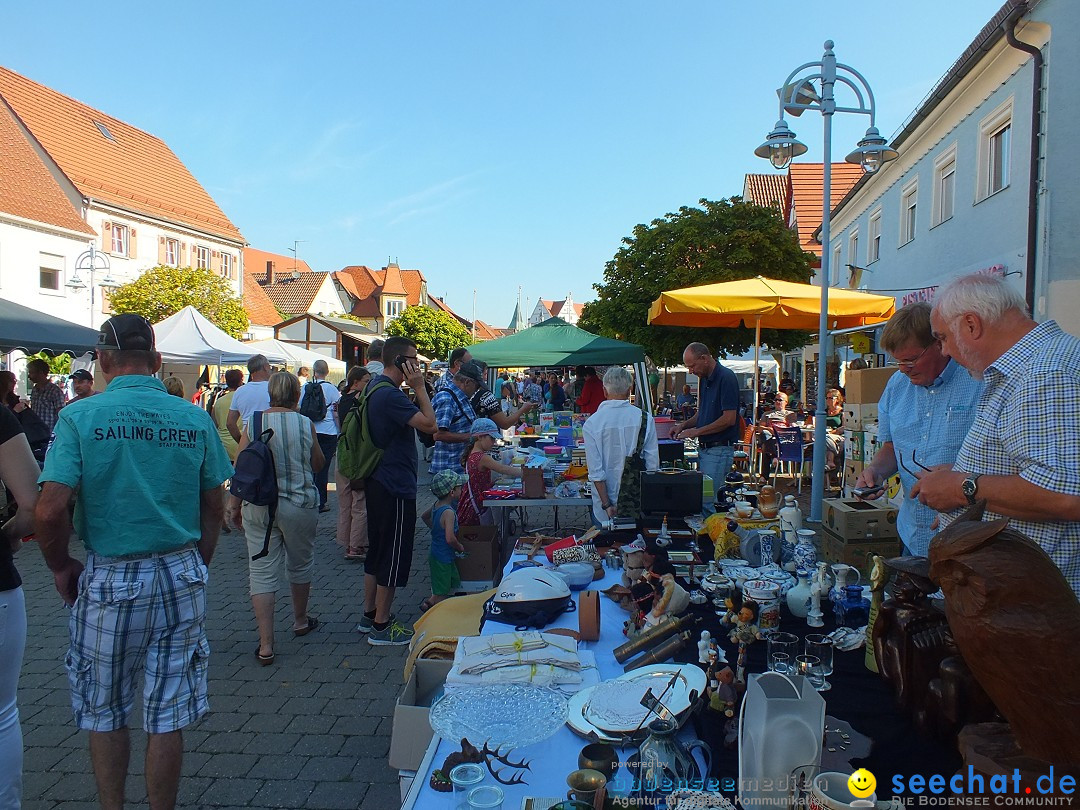 Herbstfest 2015: Bad-Buchau, 29.08.2015