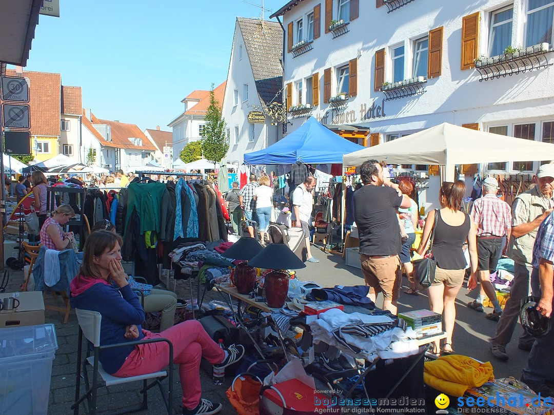 Herbstfest 2015: Bad-Buchau, 29.08.2015