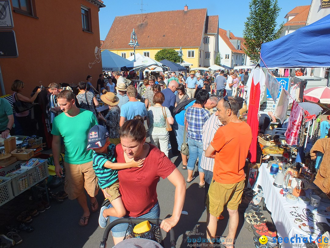 Herbstfest 2015: Bad-Buchau, 29.08.2015