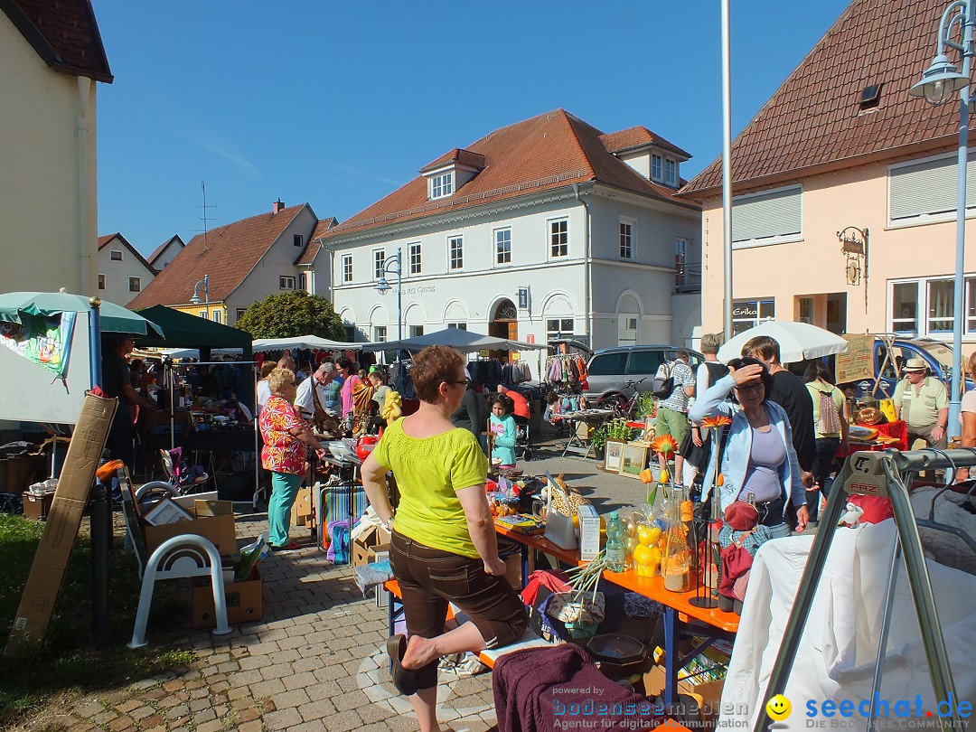 Herbstfest 2015: Bad-Buchau, 29.08.2015