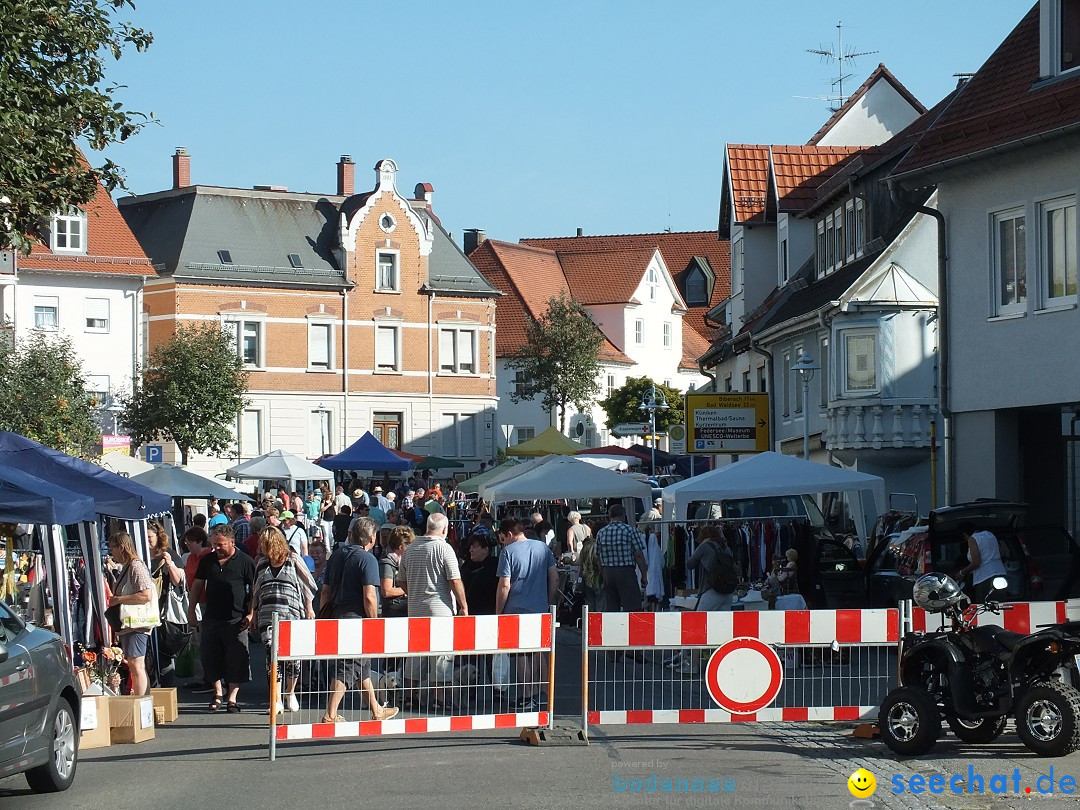 Herbstfest 2015: Bad-Buchau, 29.08.2015