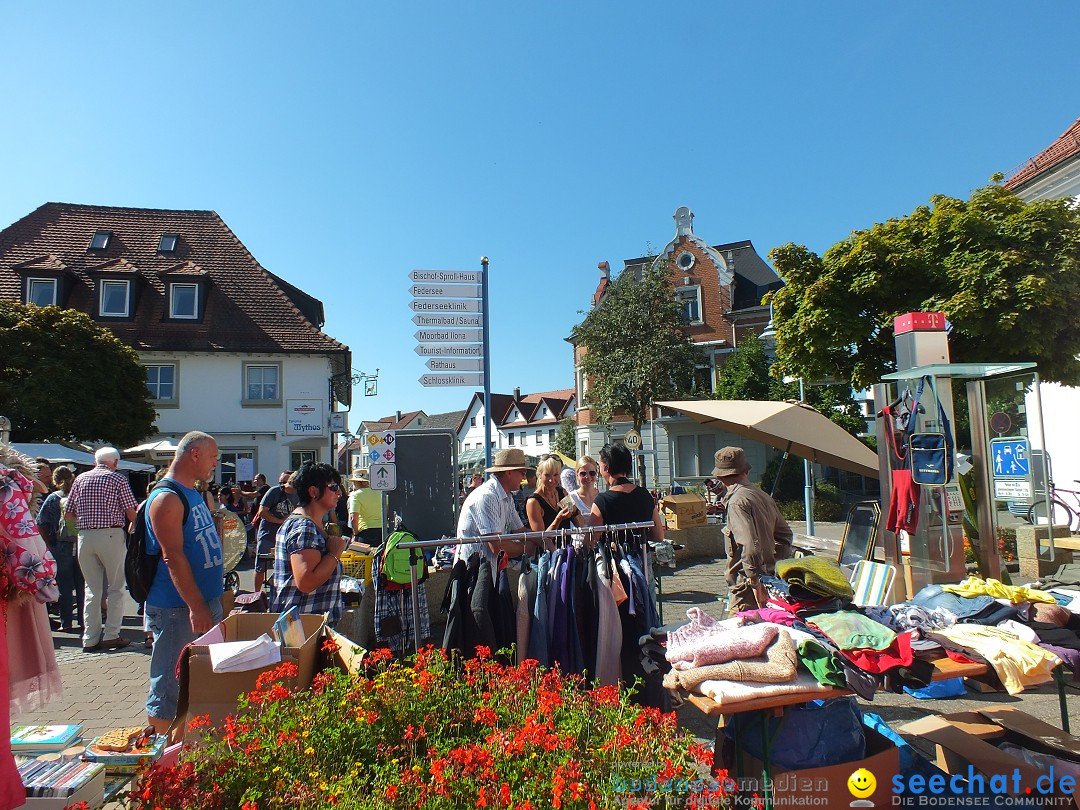 Herbstfest 2015: Bad-Buchau, 29.08.2015