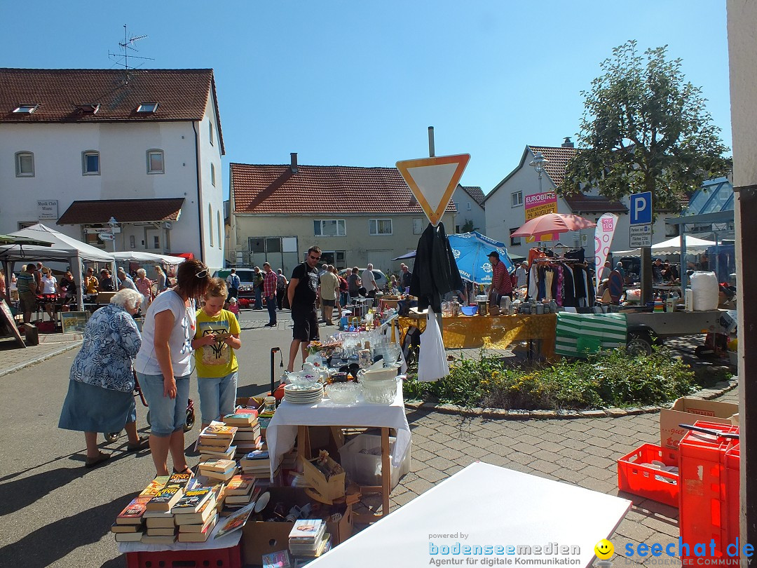 Herbstfest 2015: Bad-Buchau, 29.08.2015