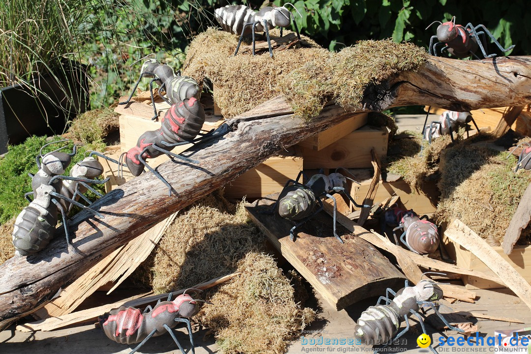 Toepfermarkt-Ueberlingen-290815-Bodensee-Community-SEECHAT_DE-IMG_2065.JPG