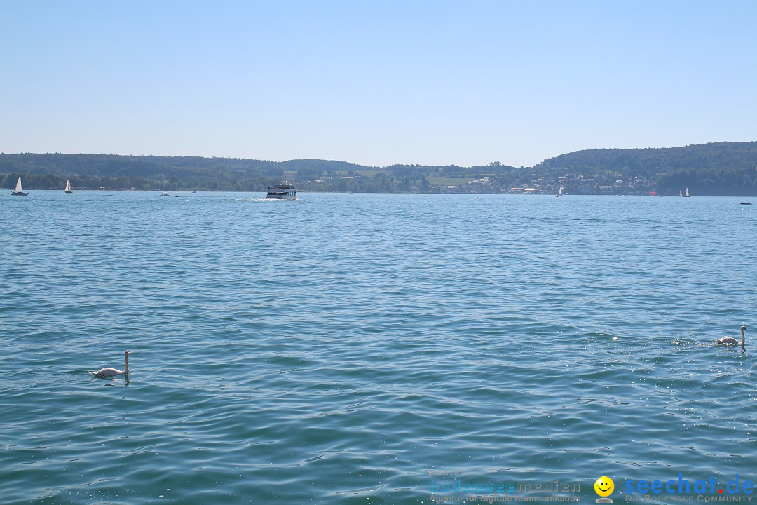 Toepfermarkt-Ueberlingen-290815-Bodensee-Community-SEECHAT_DE-IMG_2113.JPG