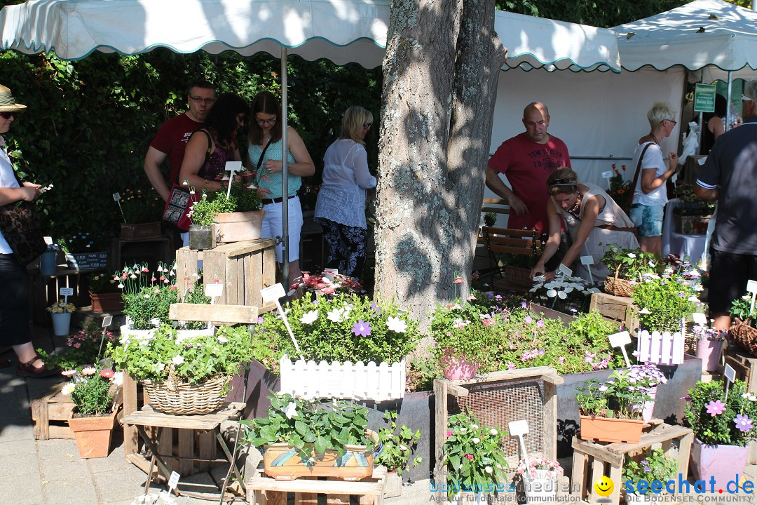 Toepfermarkt-Ueberlingen-290815-Bodensee-Community-SEECHAT_DE-IMG_2130.JPG