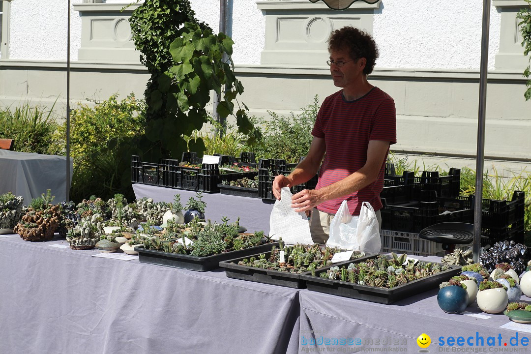 Toepfermarkt-Ueberlingen-290815-Bodensee-Community-SEECHAT_DE-IMG_2195.JPG