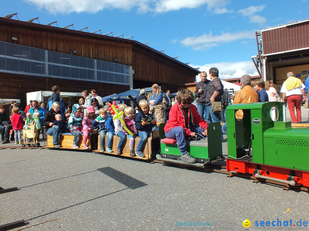 Kunst-im-Saegewerk-Kanzach-2015-09-06-Bodensee-Community-SEECHAT_DE-_129_.JPG