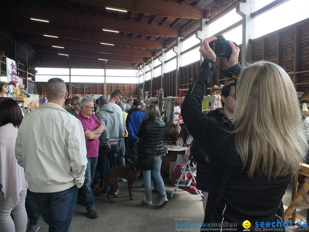 Kunst-im-Saegewerk-Kanzach-2015-09-06-Bodensee-Community-SEECHAT_DE-_126_.JPG