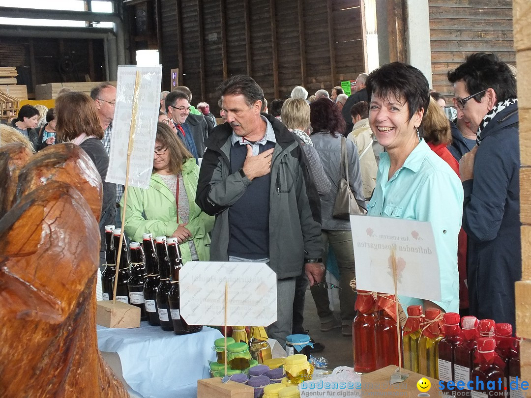 Kunst-im-Saegewerk-Kanzach-2015-09-06-Bodensee-Community-SEECHAT_DE-_132_.JPG