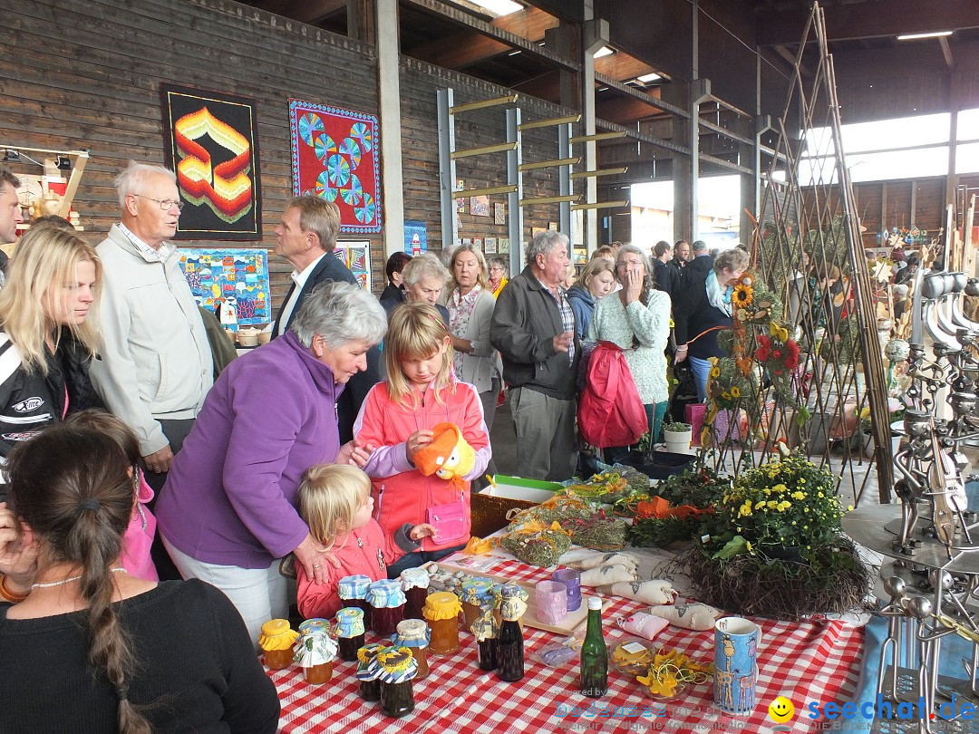 Kunst-im-Saegewerk-Kanzach-2015-09-06-Bodensee-Community-SEECHAT_DE-_24_.JPG