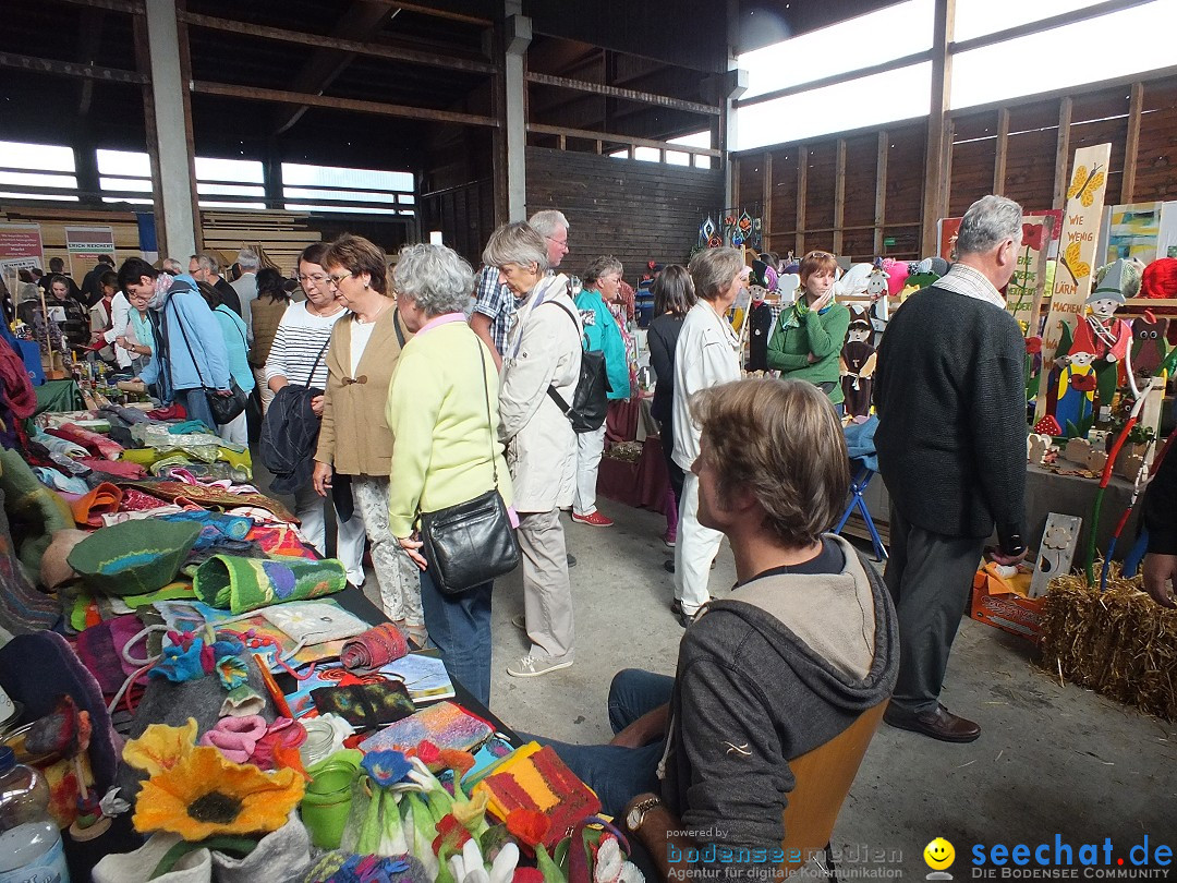 Kunst-im-Saegewerk-Kanzach-2015-09-06-Bodensee-Community-SEECHAT_DE-_26_.JPG