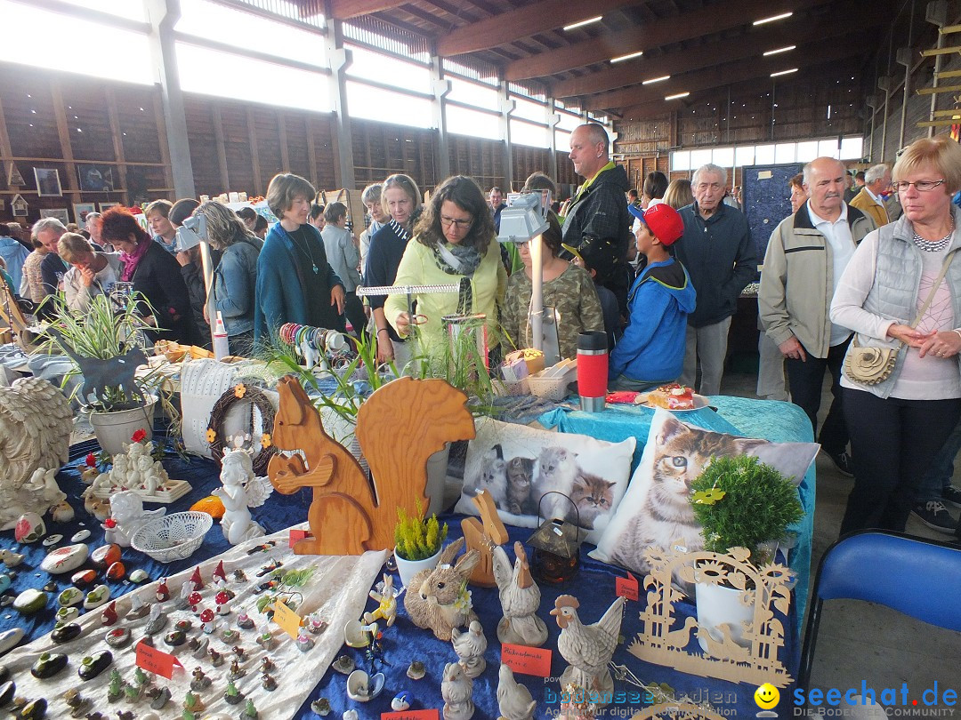 Kunst-im-Saegewerk-Kanzach-2015-09-06-Bodensee-Community-SEECHAT_DE-_28_.JPG