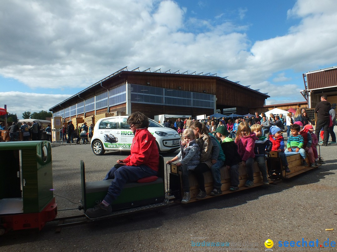 Kunst-im-Saegewerk-Kanzach-2015-09-06-Bodensee-Community-SEECHAT_DE-_35_.JPG