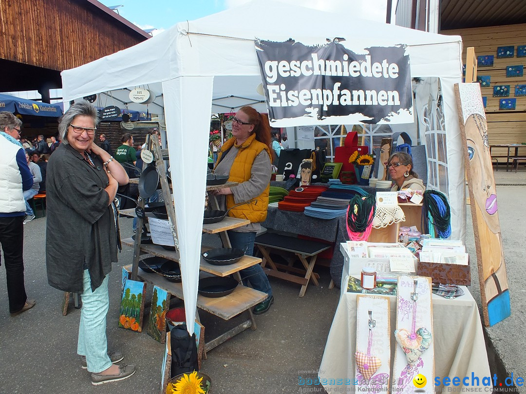 Kunst-im-Saegewerk-Kanzach-2015-09-06-Bodensee-Community-SEECHAT_DE-_66_.JPG