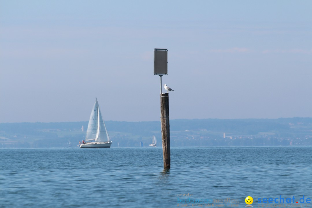 Bodensee Breitenquerung - Peggy Hennings: Friedrichshafen, 12.09.2015