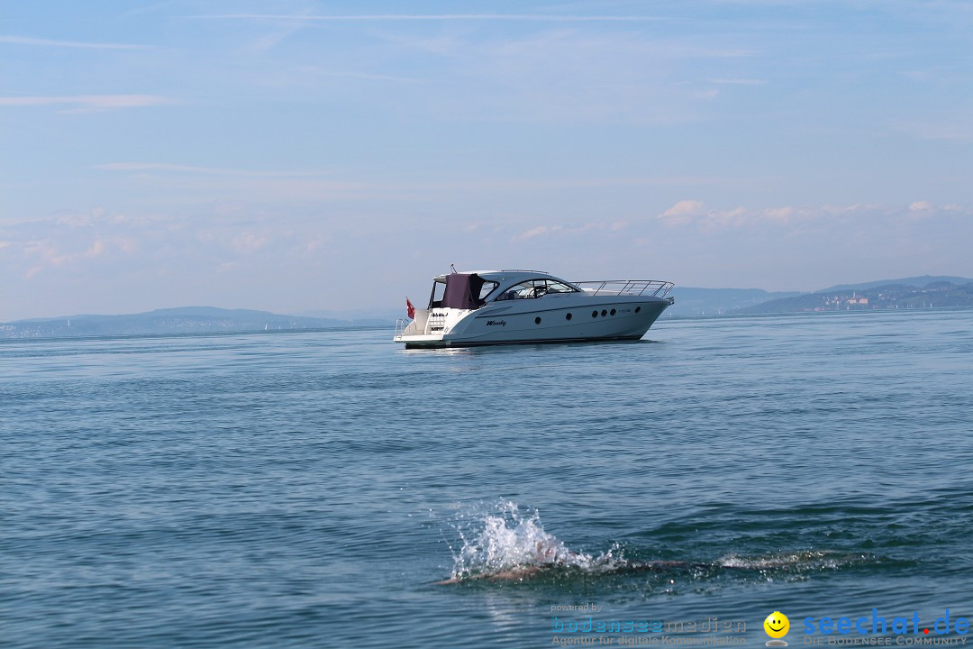 Bodensee Breitenquerung - Peggy Hennings: Friedrichshafen, 12.09.2015