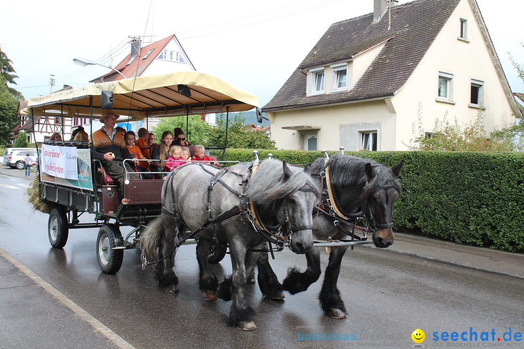 20. Herbstmarkt: Frickingen am Bodensee, 13.09.2015