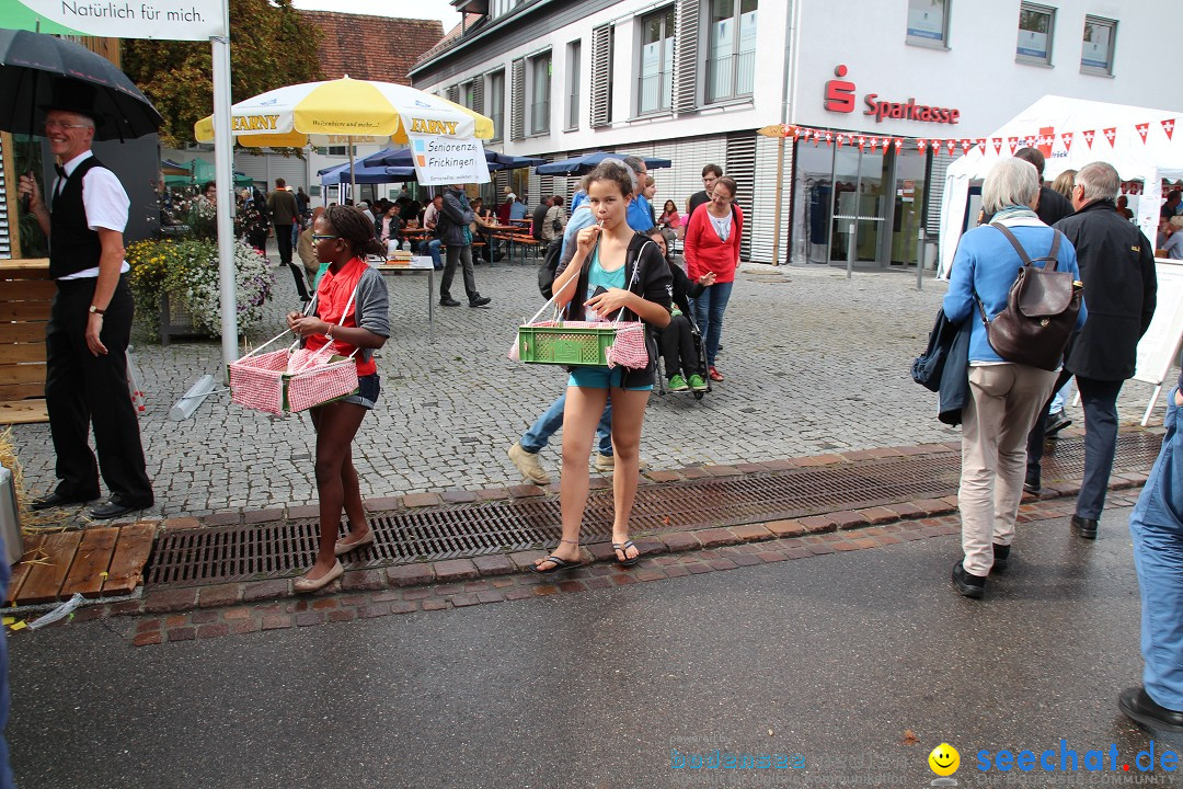 20. Herbstmarkt: Frickingen am Bodensee, 13.09.2015