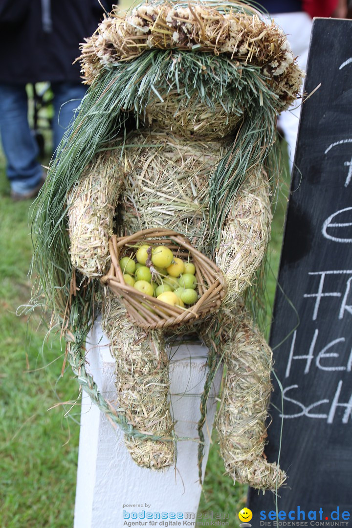 20. Herbstmarkt: Frickingen am Bodensee, 13.09.2015