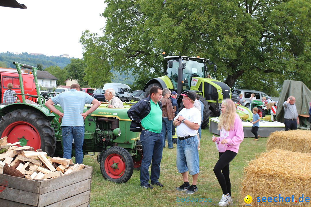 20. Herbstmarkt: Frickingen am Bodensee, 13.09.2015