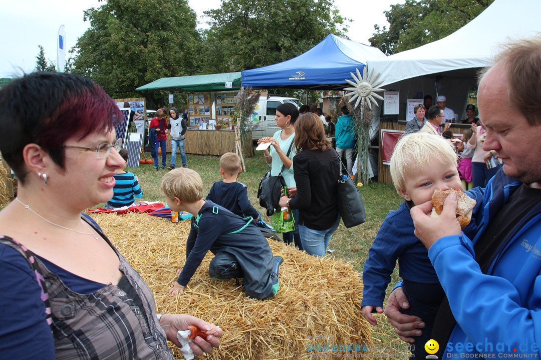 20. Herbstmarkt: Frickingen am Bodensee, 13.09.2015