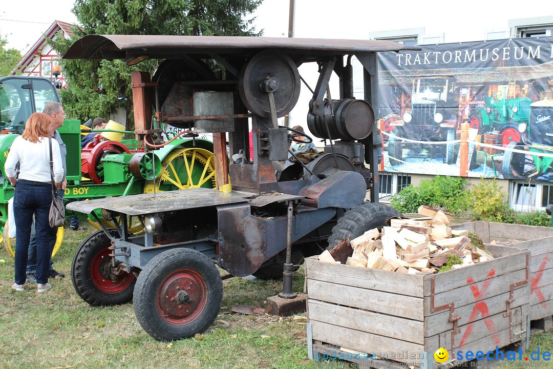 20. Herbstmarkt: Frickingen am Bodensee, 13.09.2015