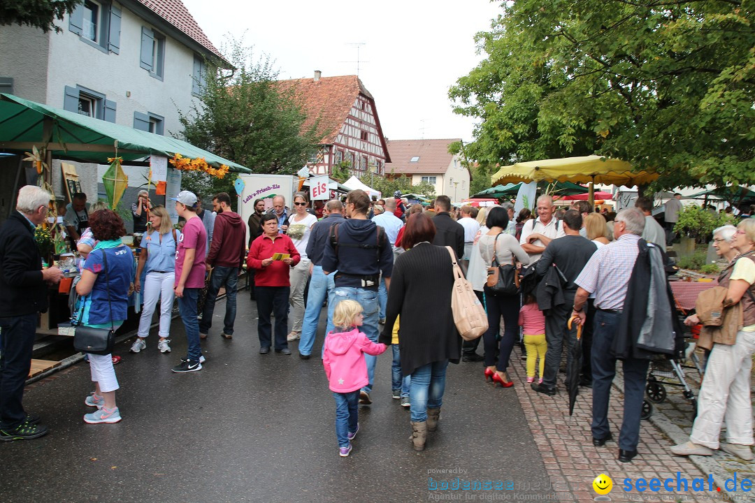 20. Herbstmarkt: Frickingen am Bodensee, 13.09.2015