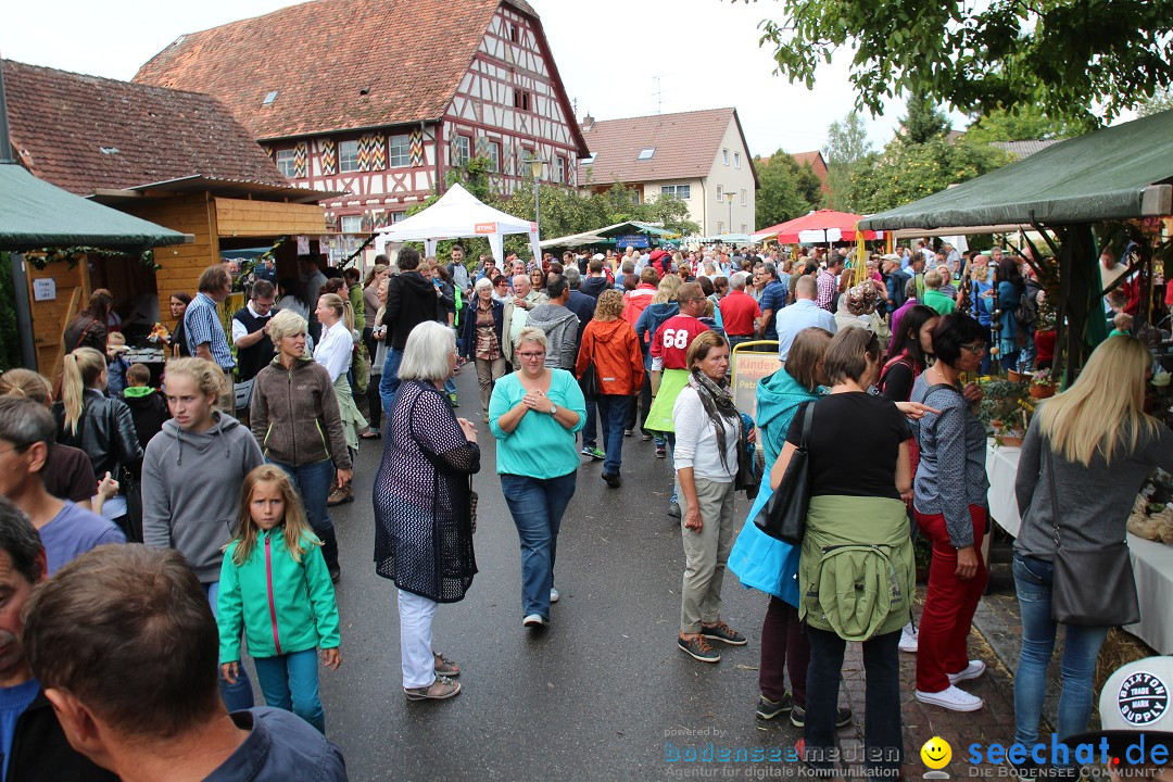 20. Herbstmarkt: Frickingen am Bodensee, 13.09.2015