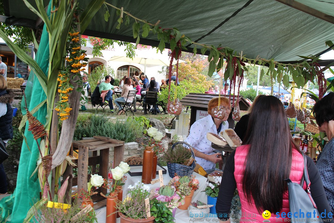 20. Herbstmarkt: Frickingen am Bodensee, 13.09.2015