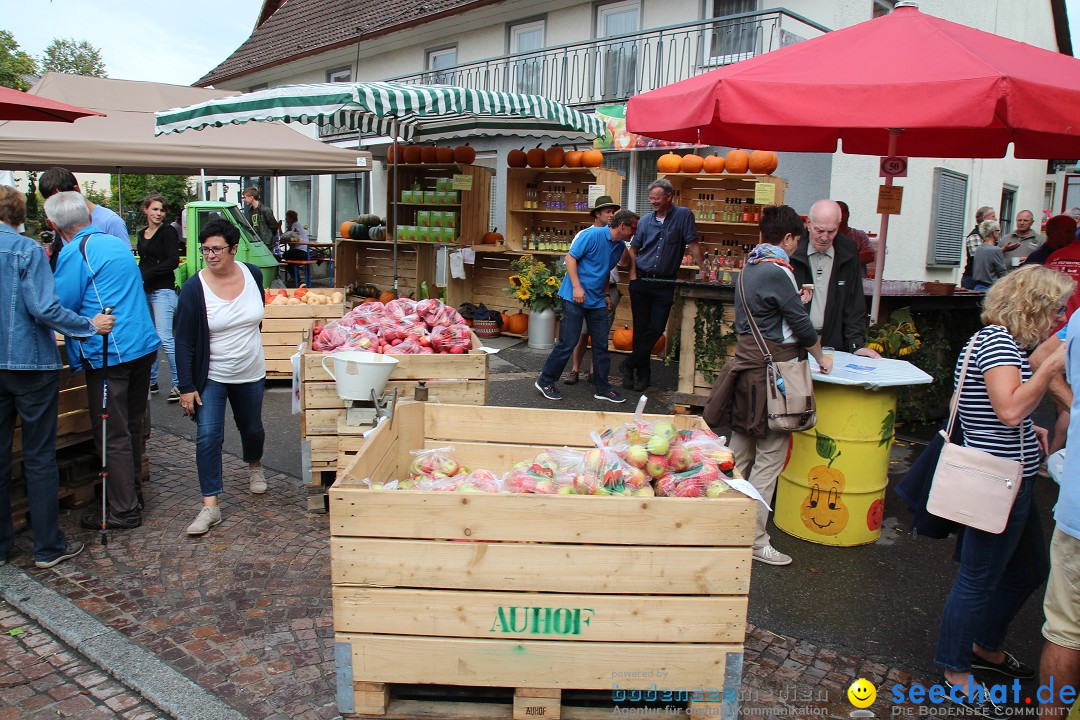 20. Herbstmarkt: Frickingen am Bodensee, 13.09.2015