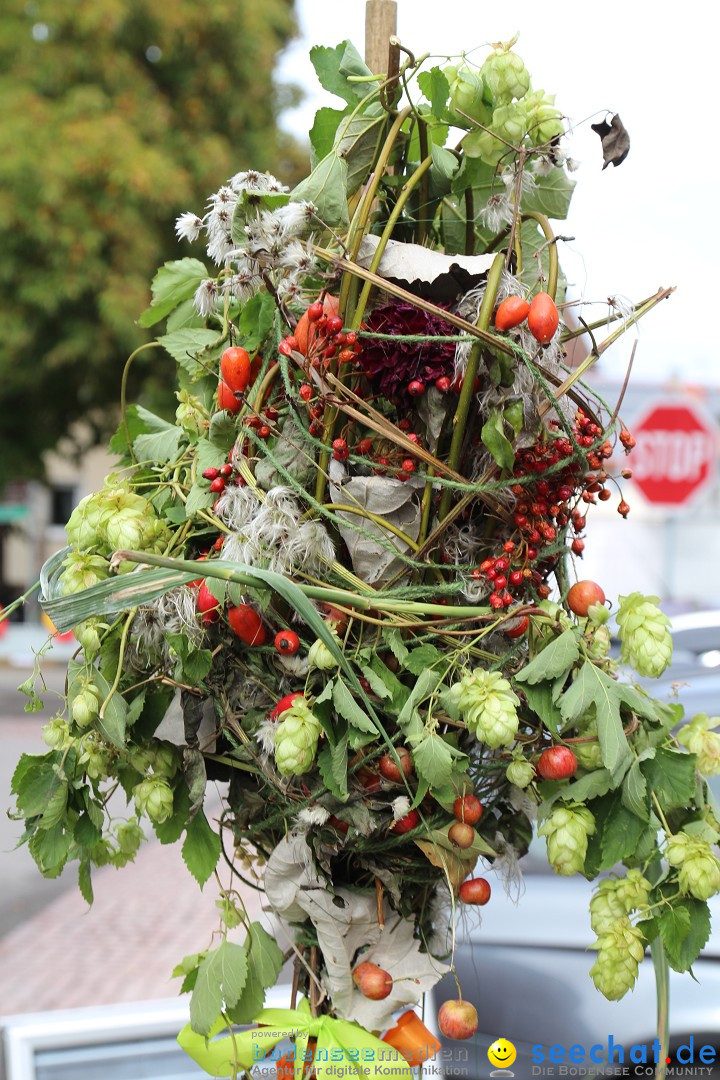 20. Herbstmarkt: Frickingen am Bodensee, 13.09.2015