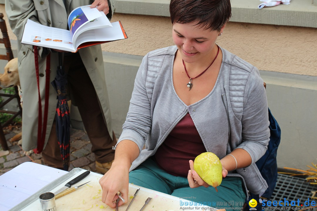 20. Herbstmarkt: Frickingen am Bodensee, 13.09.2015