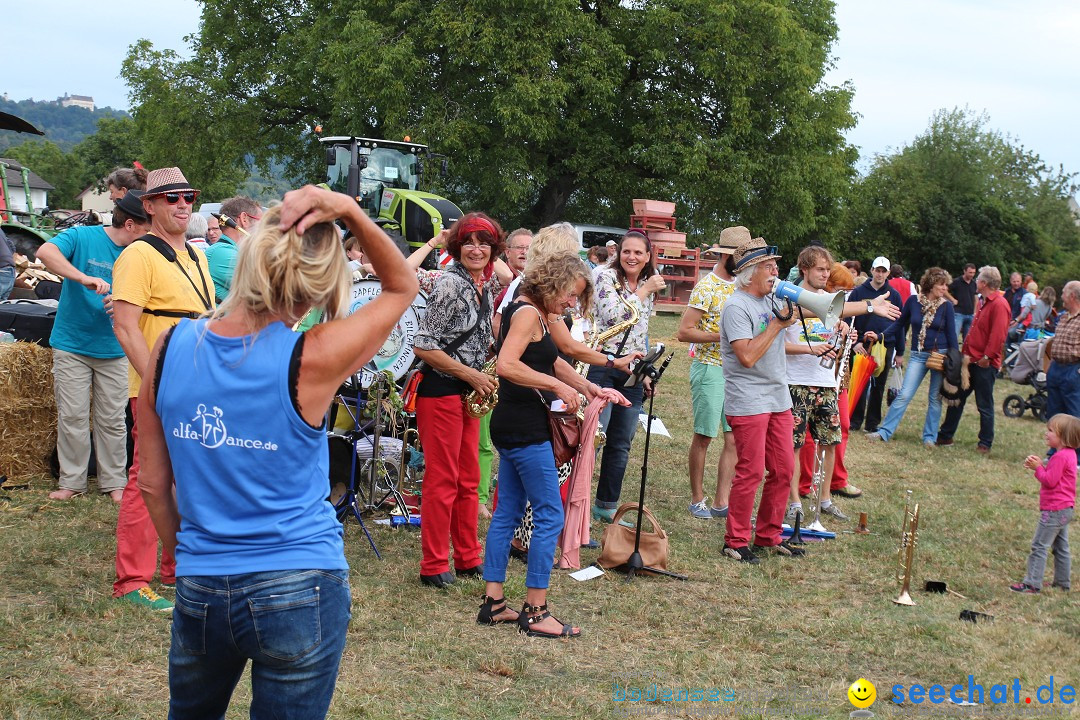 20. Herbstmarkt: Frickingen am Bodensee, 13.09.2015