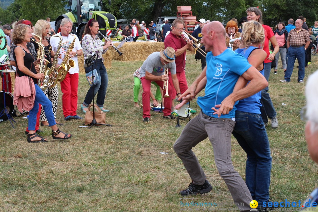 20. Herbstmarkt: Frickingen am Bodensee, 13.09.2015