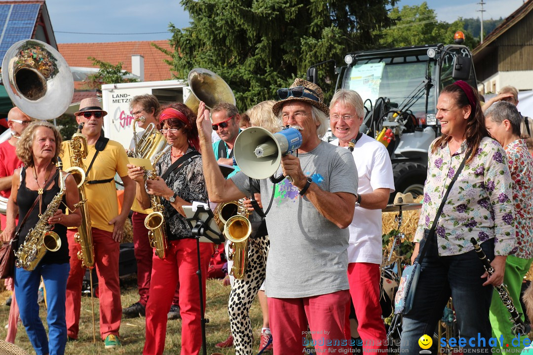 20. Herbstmarkt: Frickingen am Bodensee, 13.09.2015