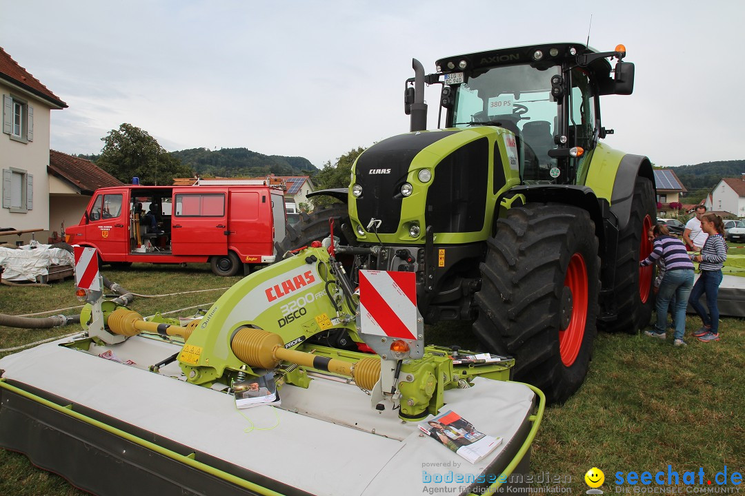 20. Herbstmarkt: Frickingen am Bodensee, 13.09.2015