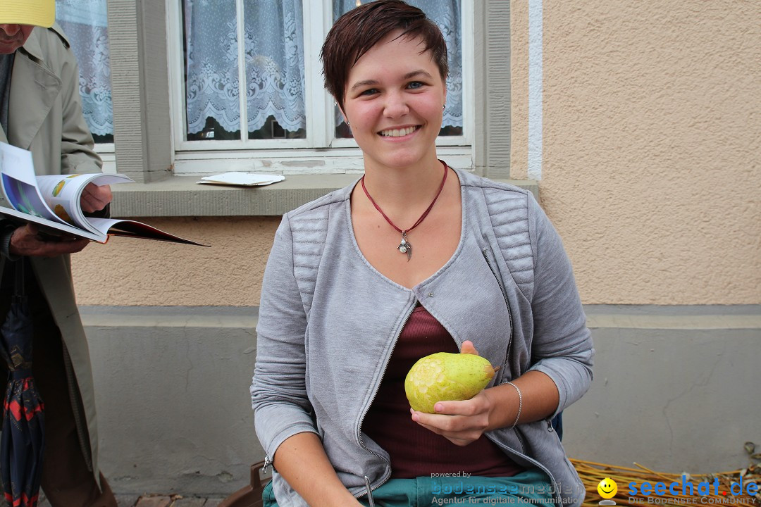 20. Herbstmarkt: Frickingen am Bodensee, 13.09.2015