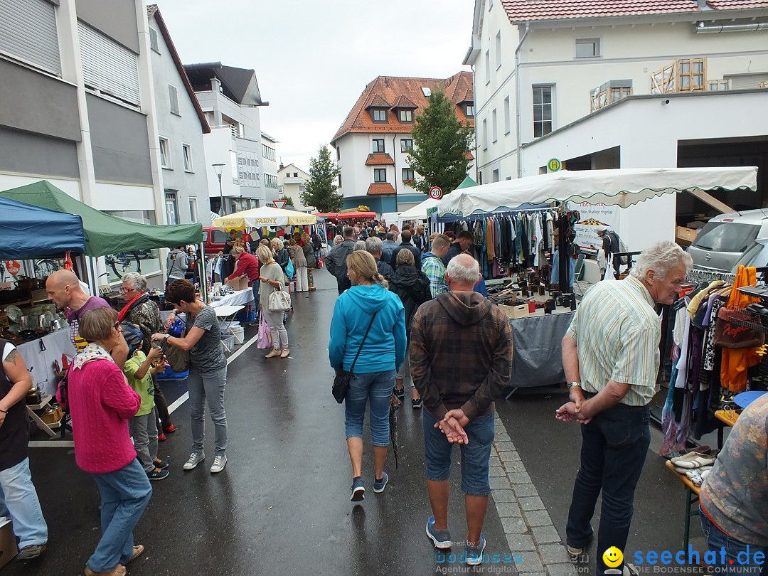 Baehnlesfest-Tettnang-130915-Bodensee-Community-SEECHAT_DE-_130_.JPG