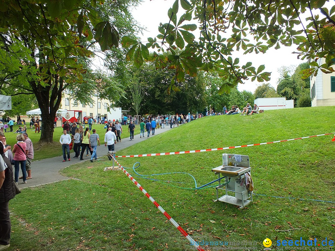 Baehnlesfest-Tettnang-130915-Bodensee-Community-SEECHAT_DE-_58_.JPG