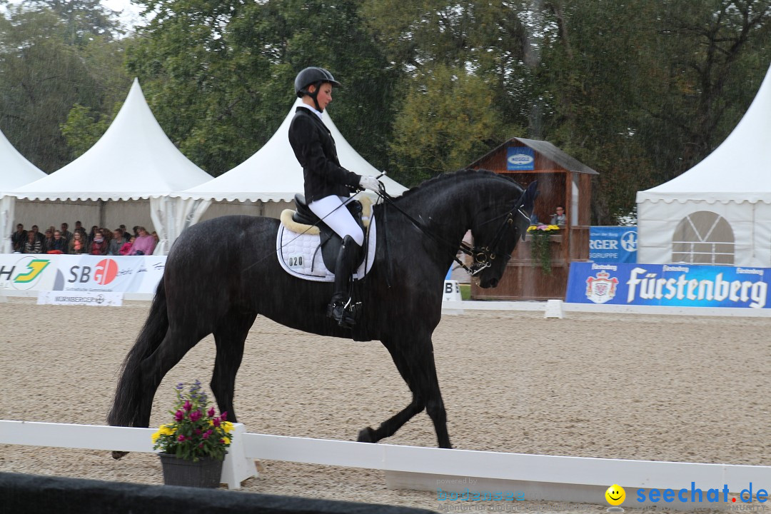 CHI Donaueschingen 2015 Reitturnier: Donaueschingen, 19.09.2015