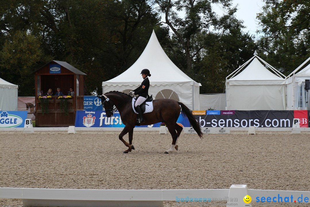 CHI Donaueschingen 2015 Reitturnier: Donaueschingen, 19.09.2015