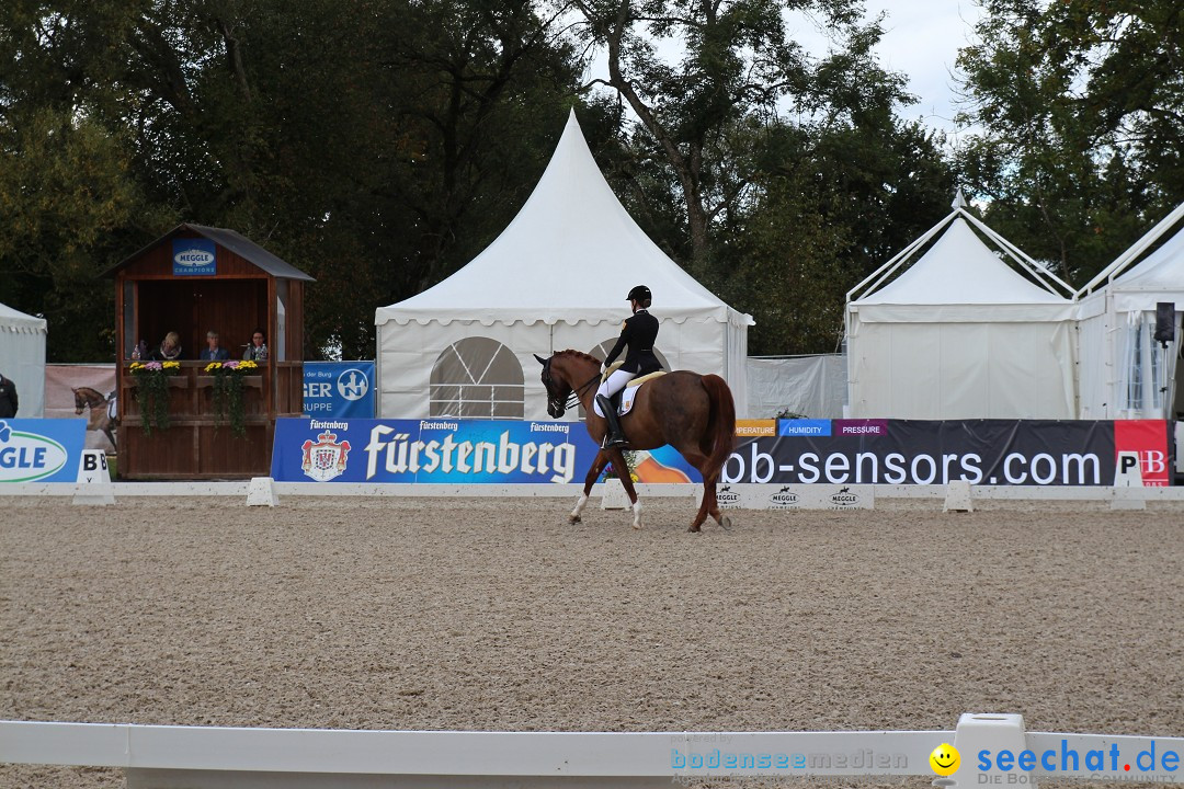 CHI Donaueschingen 2015 Reitturnier: Donaueschingen, 19.09.2015