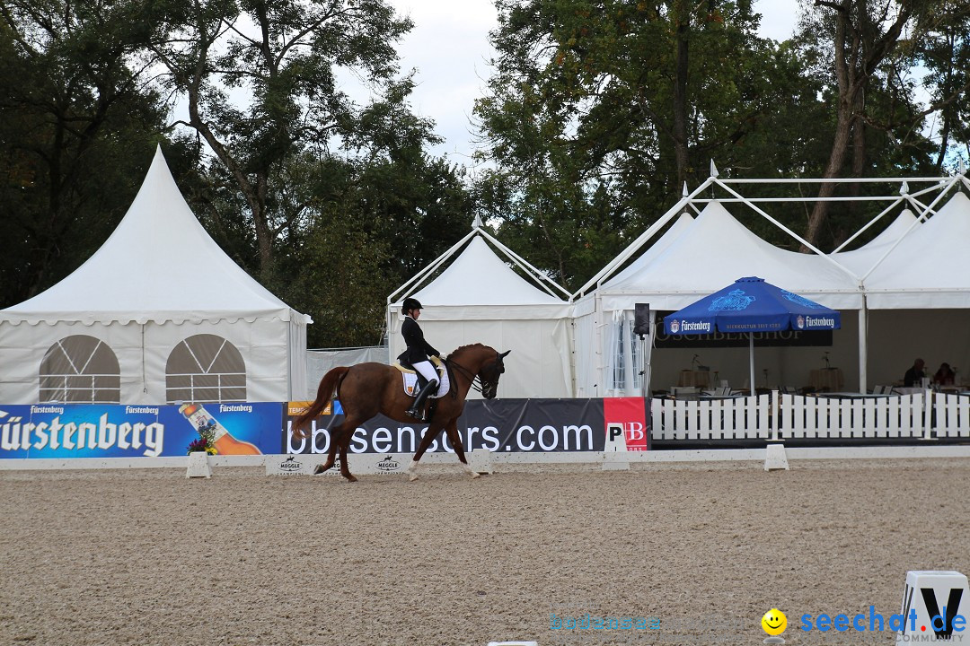 CHI Donaueschingen 2015 Reitturnier: Donaueschingen, 19.09.2015