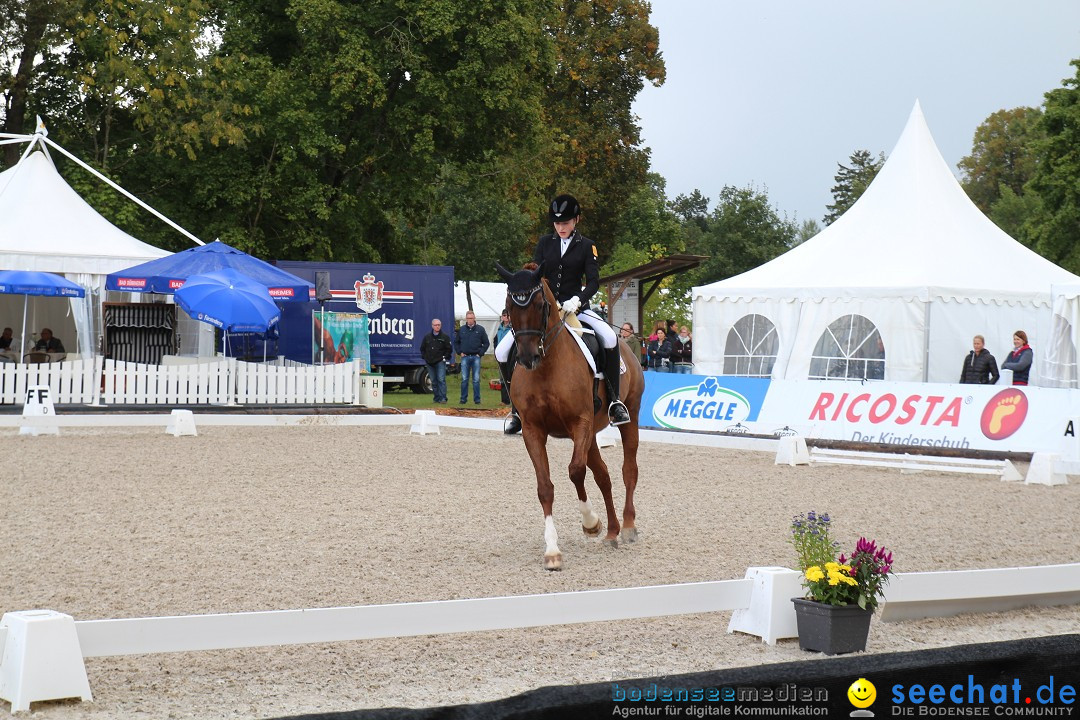 CHI Donaueschingen 2015 Reitturnier: Donaueschingen, 19.09.2015