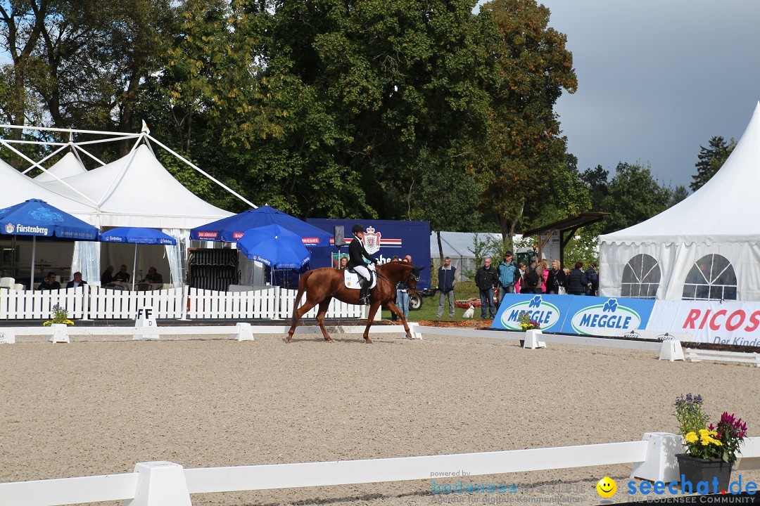 CHI Donaueschingen 2015 Reitturnier: Donaueschingen, 19.09.2015